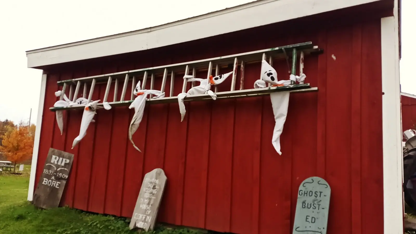 Cicero "Pumkin" Patch photo